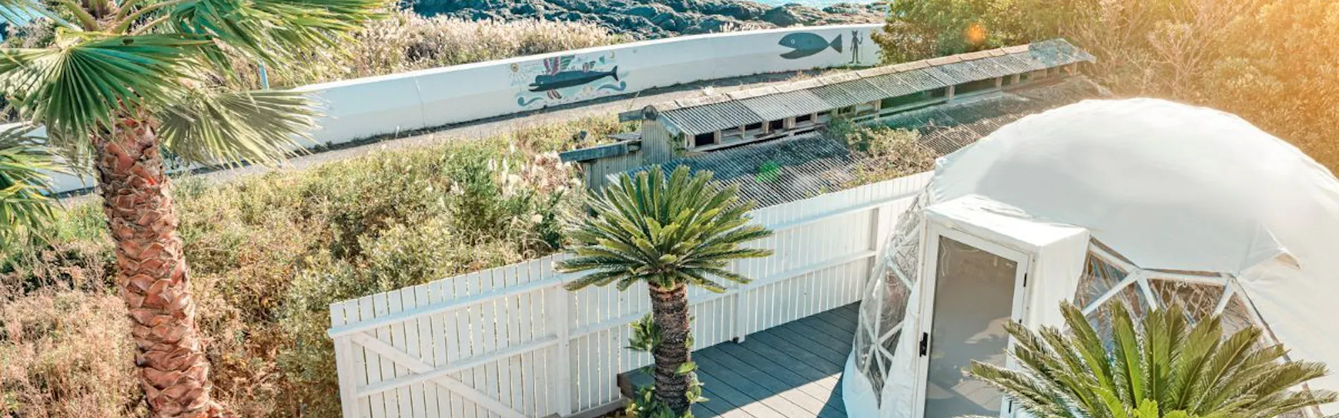 UMInoTERRACE