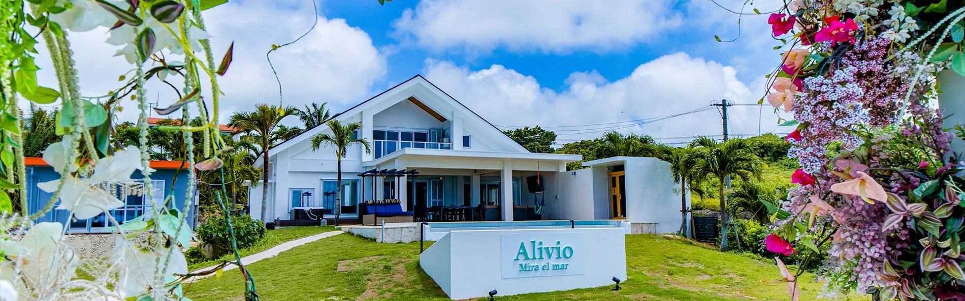 Alivio Mira el mar