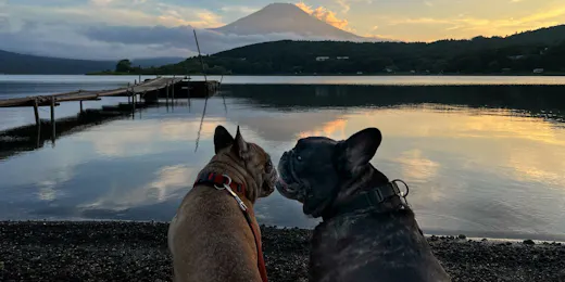 Beds and Dog run - Yamanakako