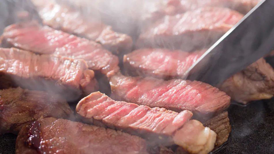 Private Sauna and Himi Wagyu Teppanyaki Inn ~GYU-YA VILLA~