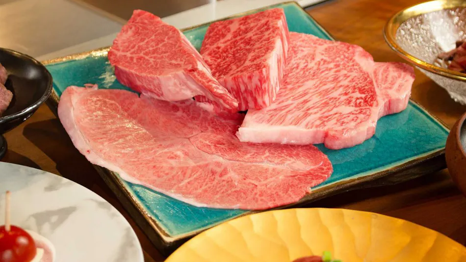 Private Sauna and Himi Wagyu Teppanyaki Inn ~GYU-YA VILLA~