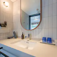 ห้องพักที่เป็นมิตรกับสุนัข