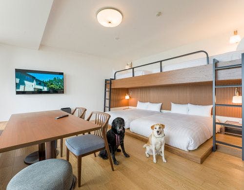 ドッグフレンドリールーム