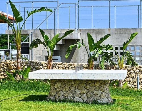 開放感溢れる屋外卓球台