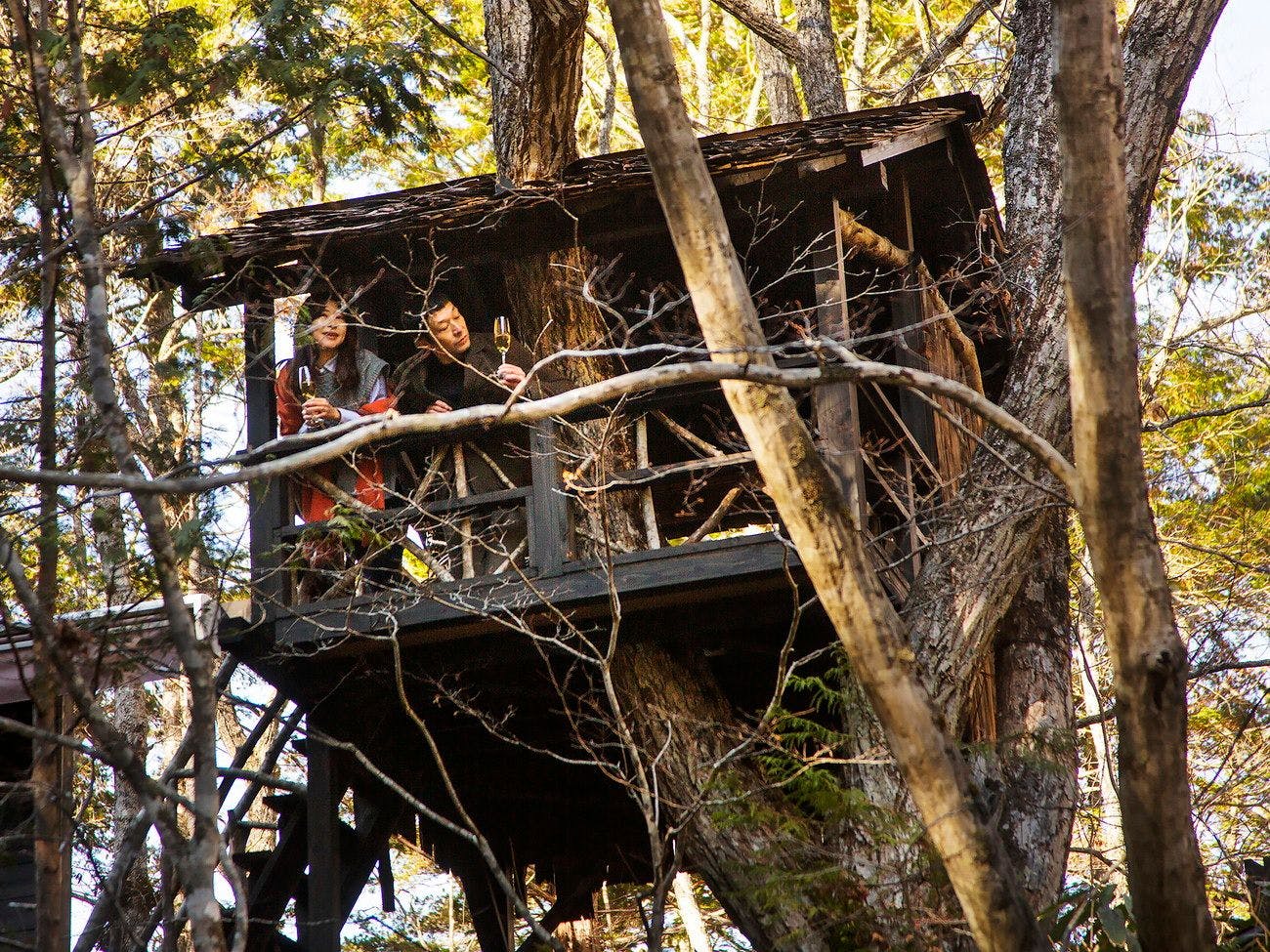 the Cask_ツリーハウス