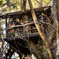 the Cask_ツリーハウス