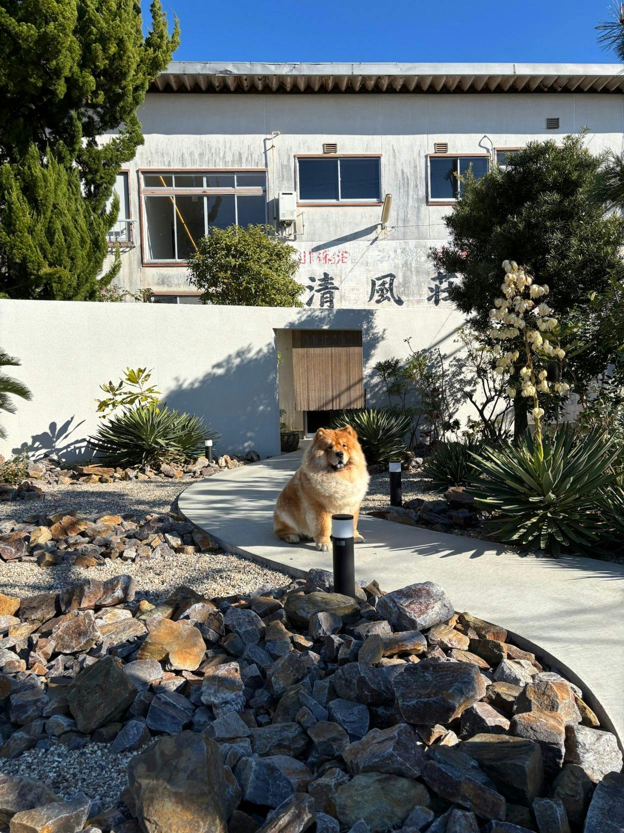 ถ่ายรูปหน้าประตูทางเข้าหลักพร้อมน้องหมา