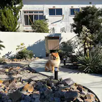 ถ่ายรูปหน้าประตูทางเข้าหลักพร้อมน้องหมา