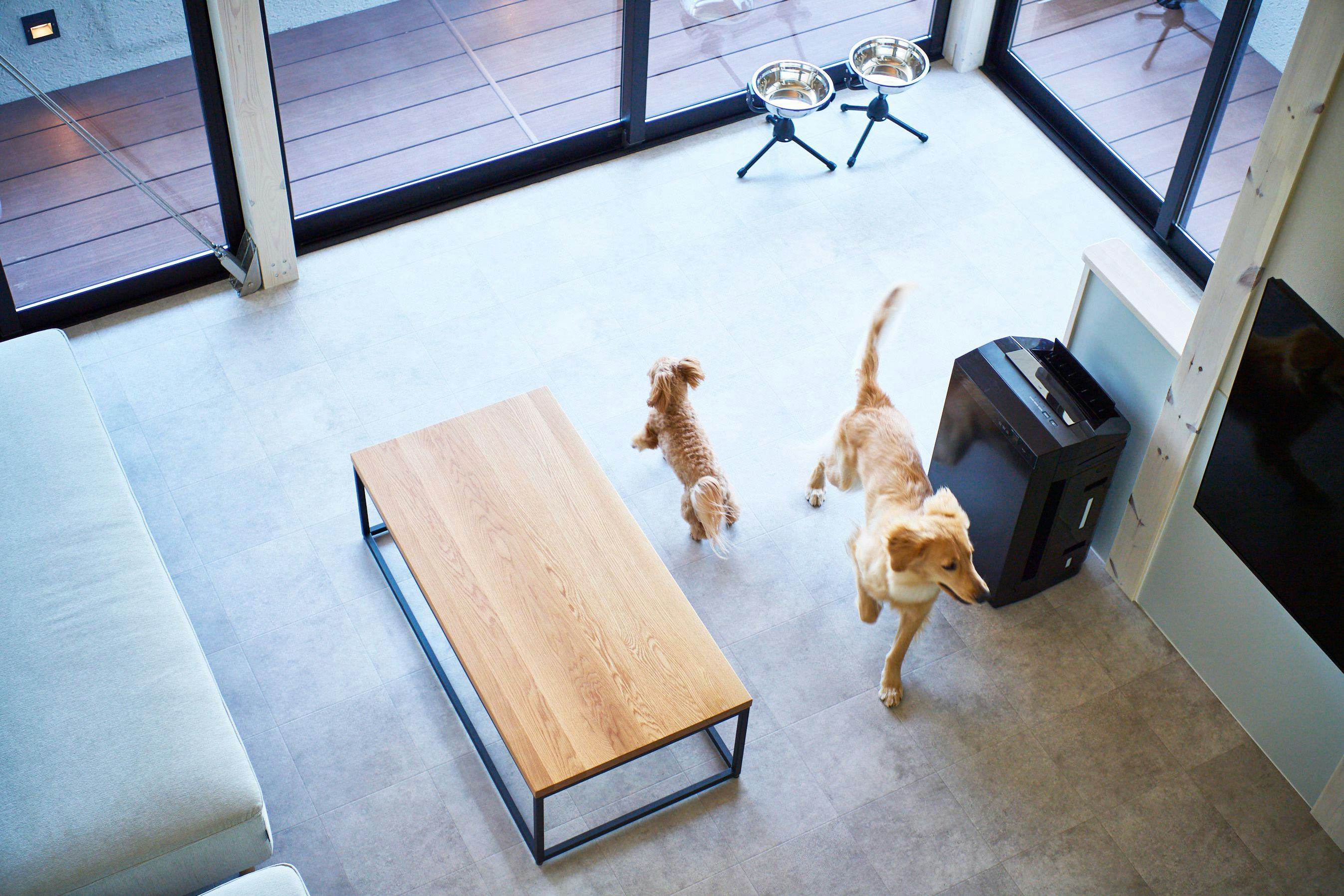 B棟 ペット同伴