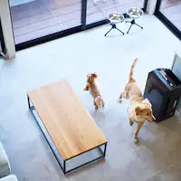 B棟 ペット同伴