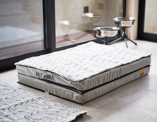 B棟 ペット用品