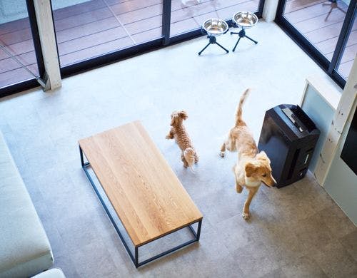 B棟 ペット同伴