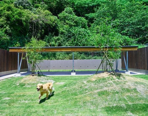 B棟 ドッグラン