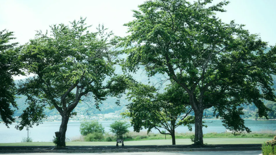 SANU 2nd Home Kawaguchiko 2nd