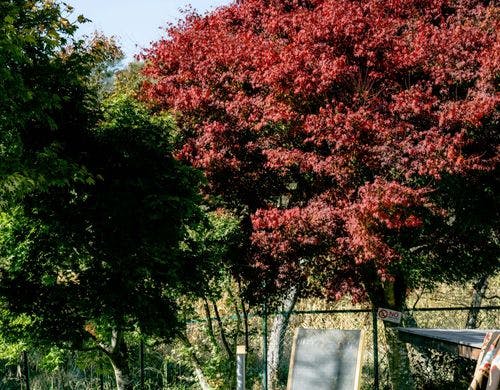 SUKHプライベートガーデン