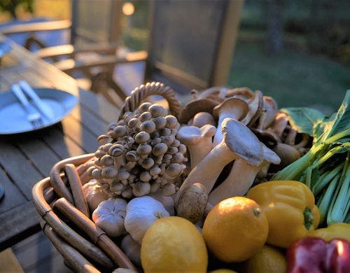 アウトドアテラス