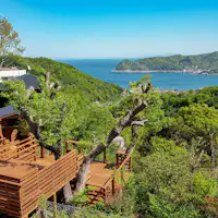 雄大な相模湾を一望するツリーテラス