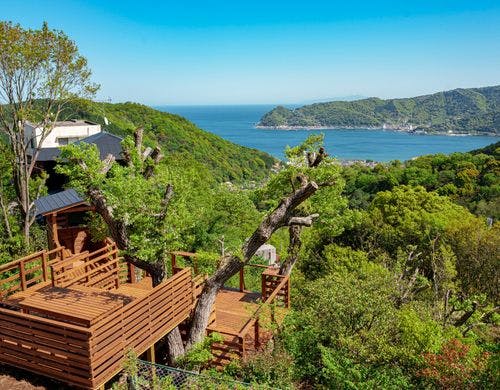 雄大な相模湾を一望するツリーテラス