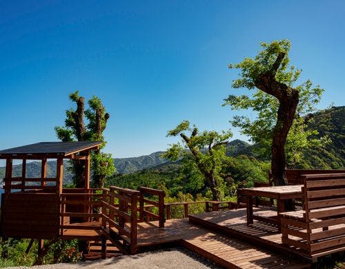 ・【ツリーテラス】雄大な相模湾を一望