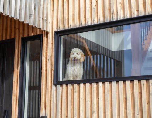 ペットとご一緒にご宿泊いただけます