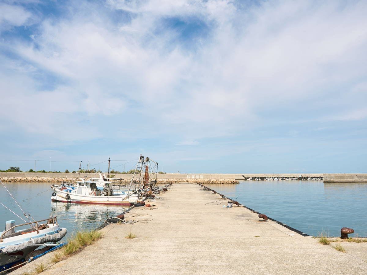 目の前の港で、のんびりと釣りを楽しめます