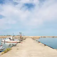 目の前の港で、のんびりと釣りを楽しめます