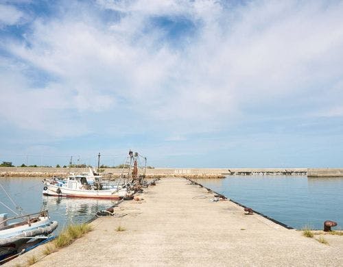 目の前の港で、のんびりと釣りを楽しめます