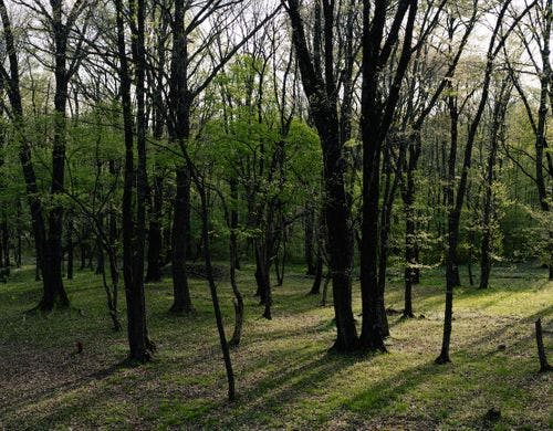 お部屋からの眺め