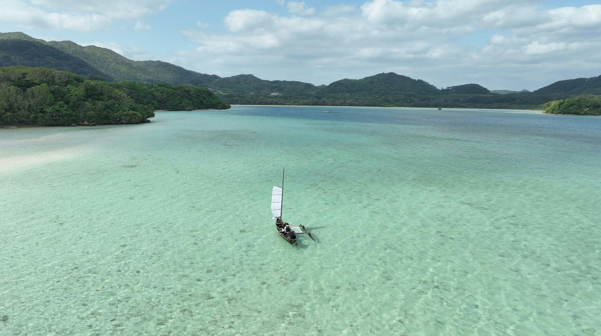 海