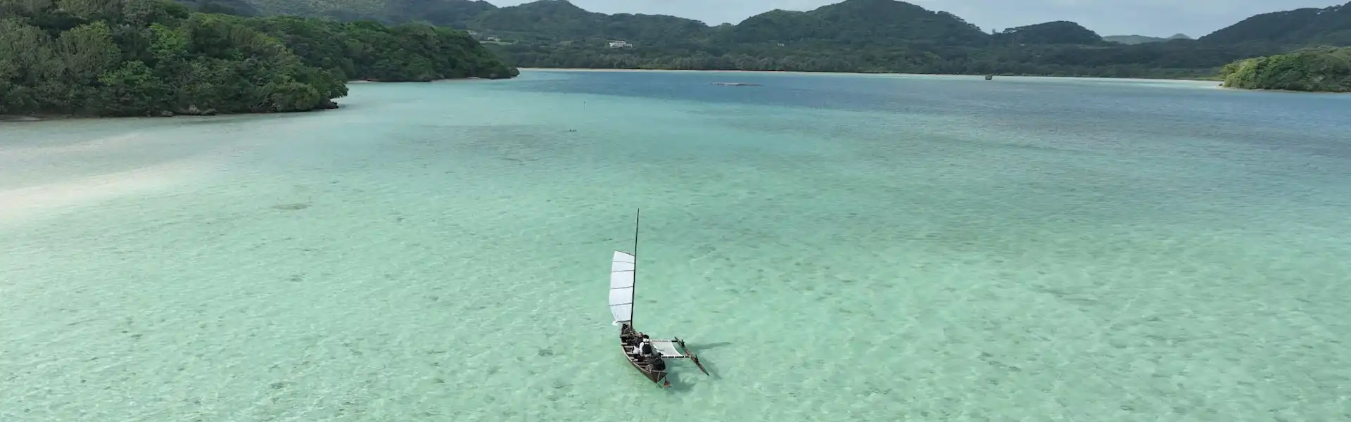 海
