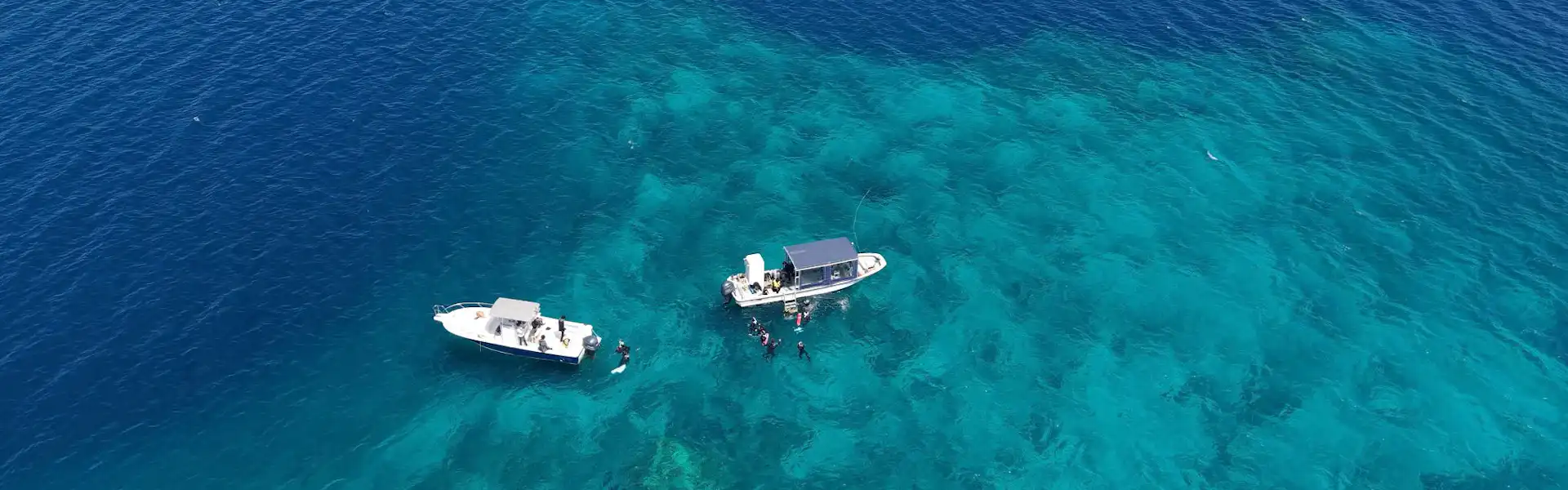 海