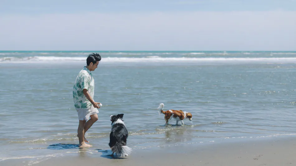 DOGGY'S VILLA Kujukuri