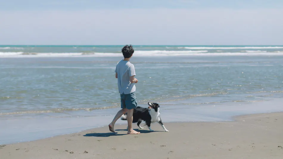 DOGGY'S VILLA Kujukuri