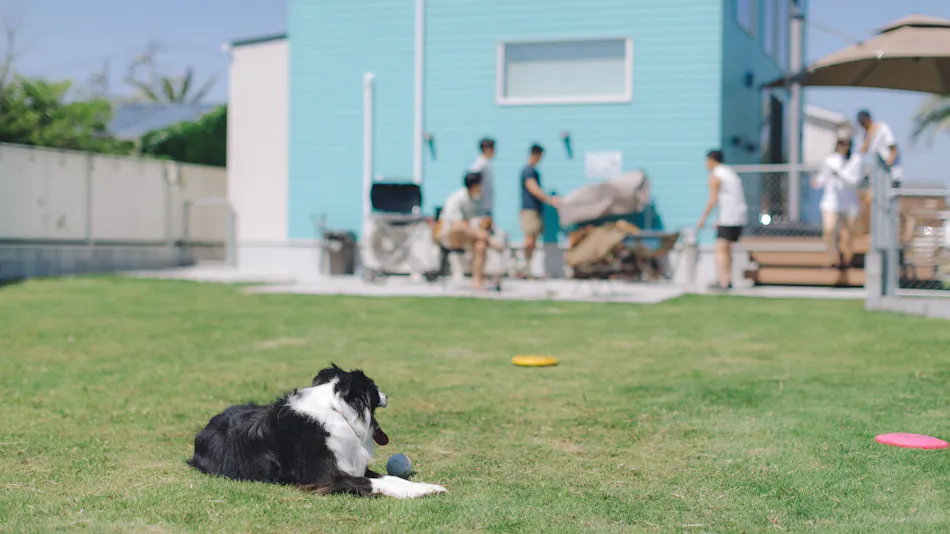 DOGGY'S VILLA Kujukuri
