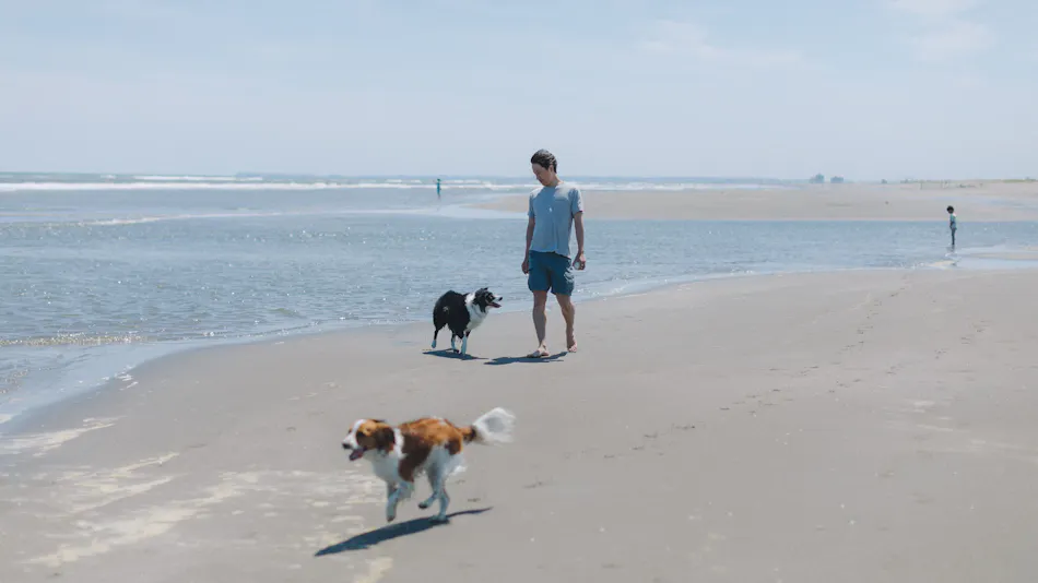 DOGGY'S VILLA Kujukuri