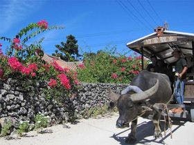 アートホテル石垣島
