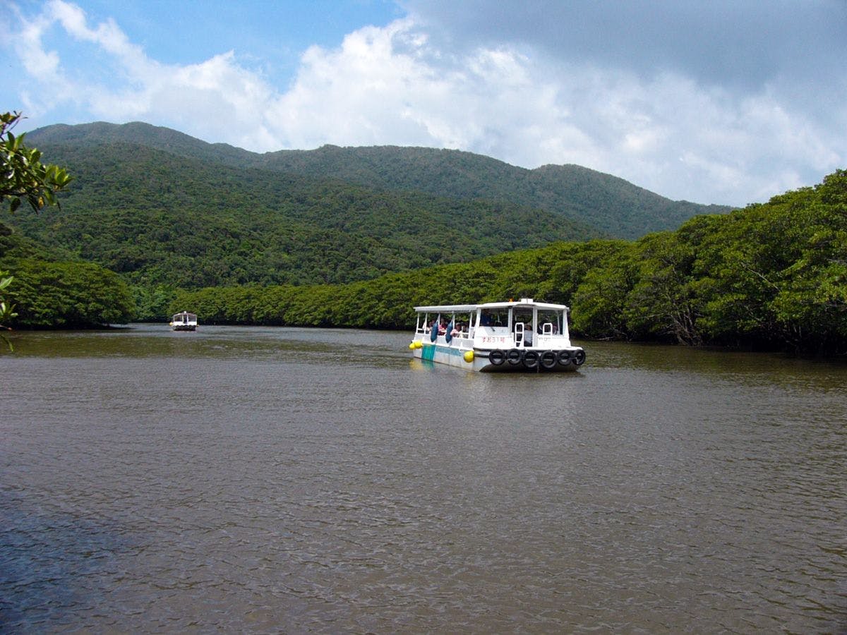 西表岛仲间川游览船观光