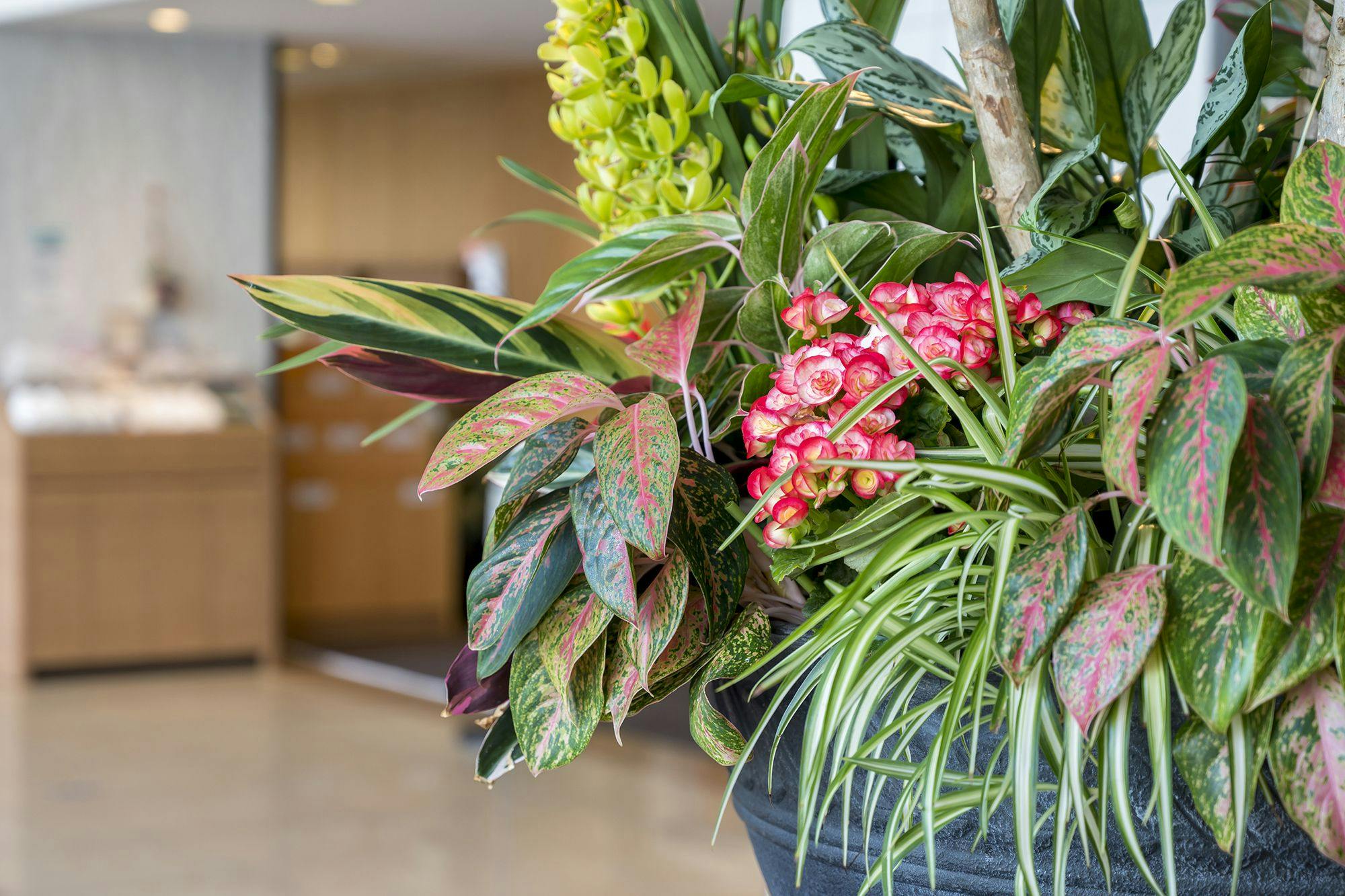 สามารถรับข้อมูลผ่านป้ายดิจิทัลในล็อบบี้