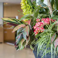 สามารถรับข้อมูลผ่านป้ายดิจิทัลในล็อบบี้