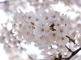 ホテルルートイン 金沢駅前