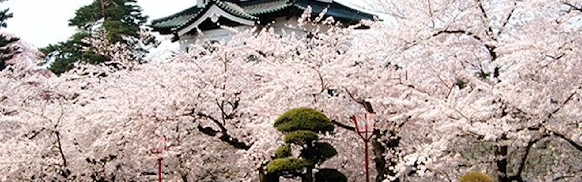 天然温泉 岩木桜の湯 ドーミーイン弘前