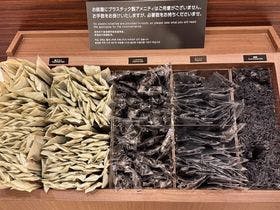 中通温泉 こまちの湯 ドーミーイン秋田 1枚目