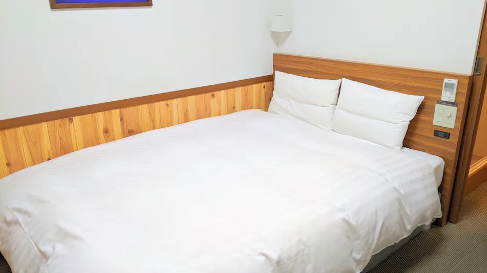 Ishikari no Yu Dormy Inn PREMIUM Sapporo