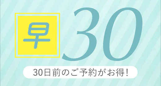 早期割30 宿泊30日前迄の予約で通常価格よりもちょっとお得なプラン ~素泊まり~