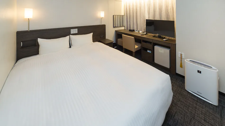 Sotetsu Fresa Inn Ochanomizu-Jimbocho