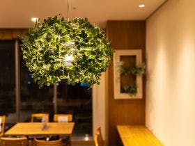 スーパーホテル Lohas赤坂 3枚目