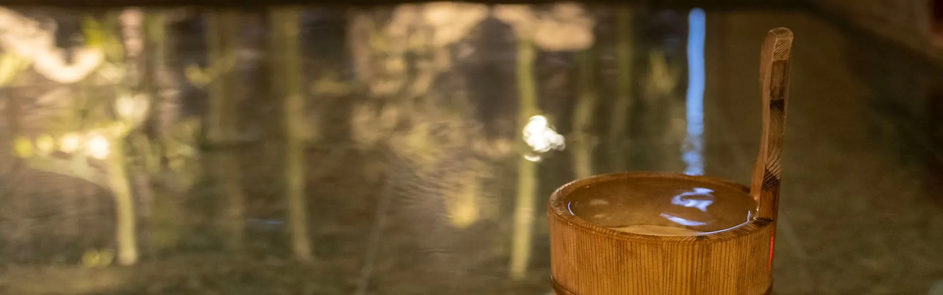高濃度炭酸泉 茜草の湯 スーパーホテルPremier赤坂