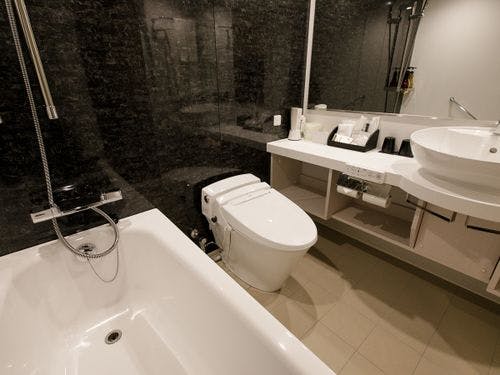 ＤＸルームバスルームイメージ