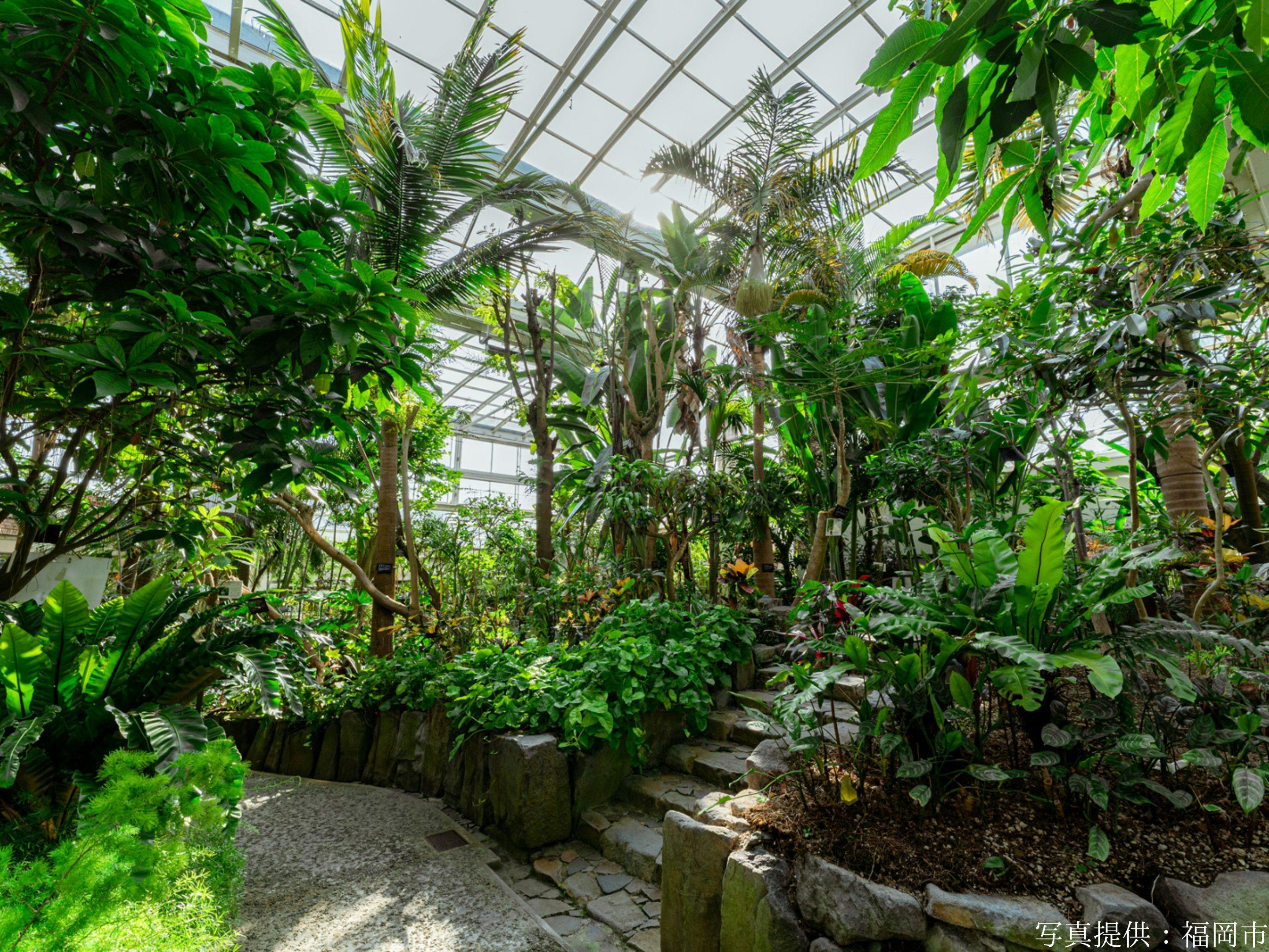 福岡市植物園溫室