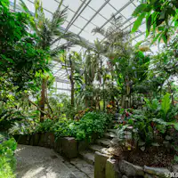 福岡市植物園温室